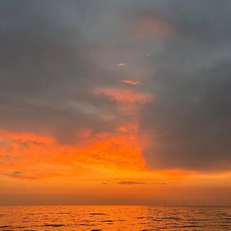 Otto * Kusadası